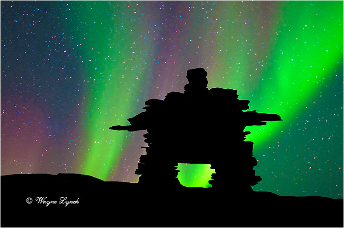 Inukshuk and Northern Lights by Dr. Wayne Lynch &copy;